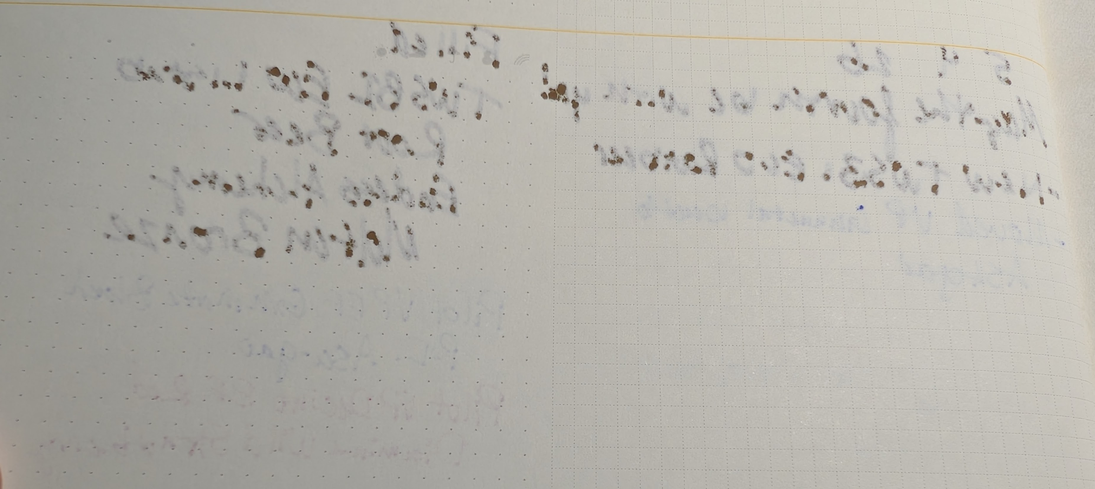 Photo of the back side of a notebook page. The writing is not legible, but many spots in the writing are dark where the ink has bled through the page.