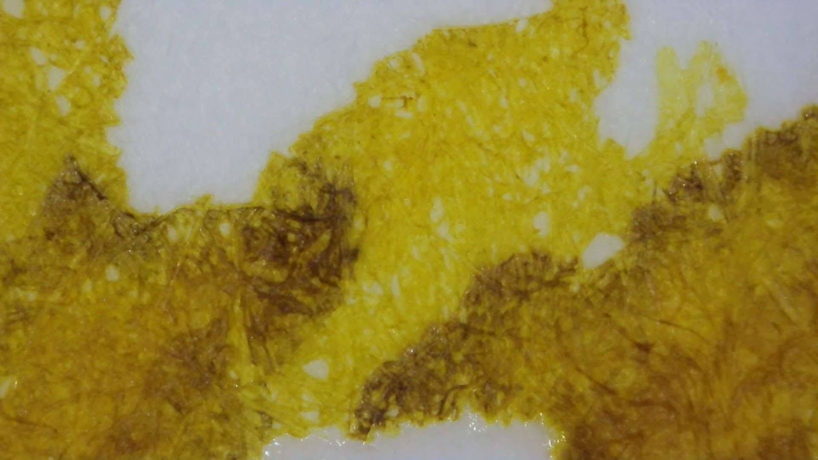 Photo of ink on paper. Paper fibers are visible. The lighter areas are a dark yellow. The darker areas are nearly brown with a little green mixed in.