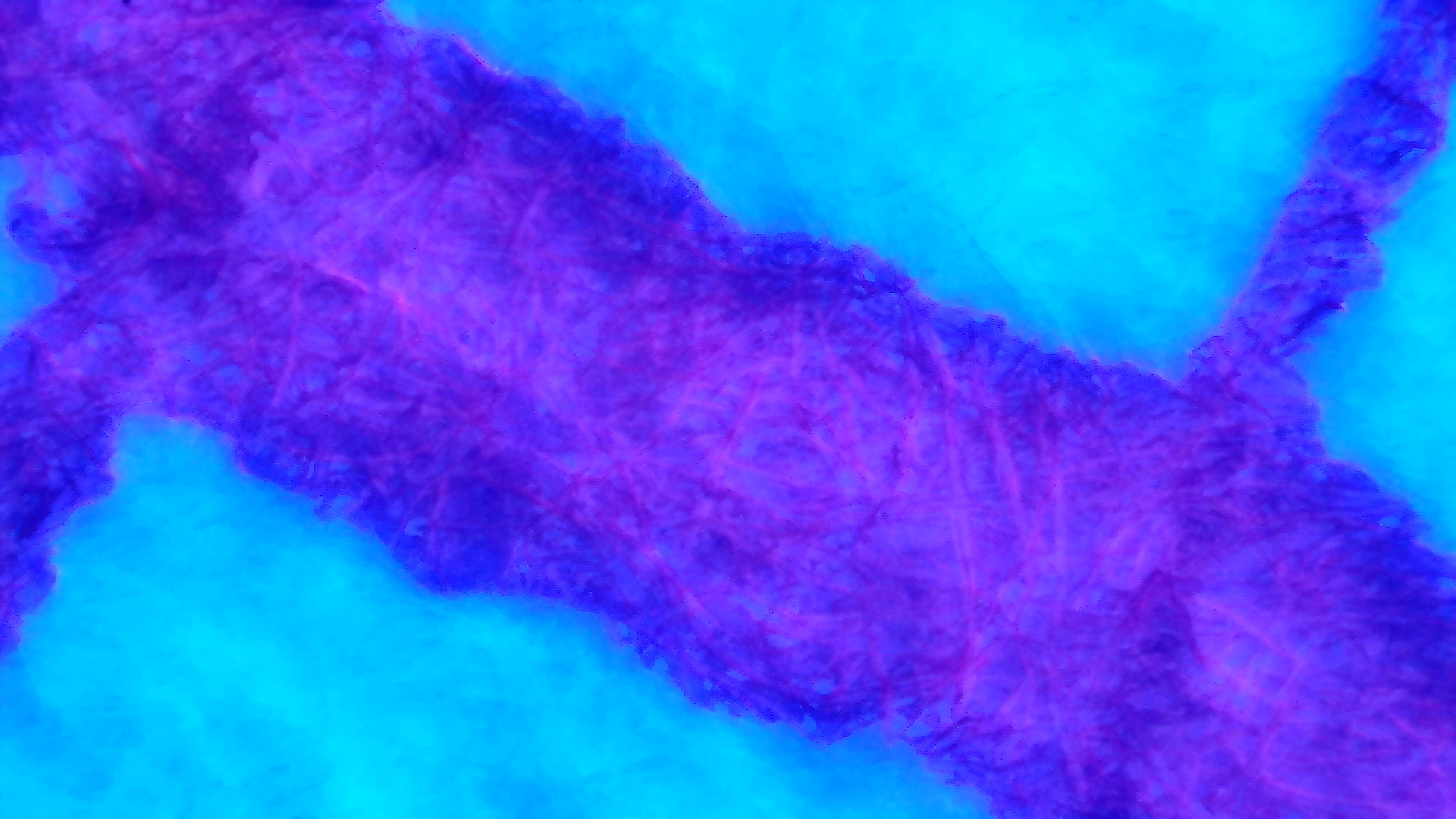 Same as photo 1 but under UV light. The paper is glowing brightly blue and overpowering everything. The ink appears purple with just some hints of pink in the fibers.