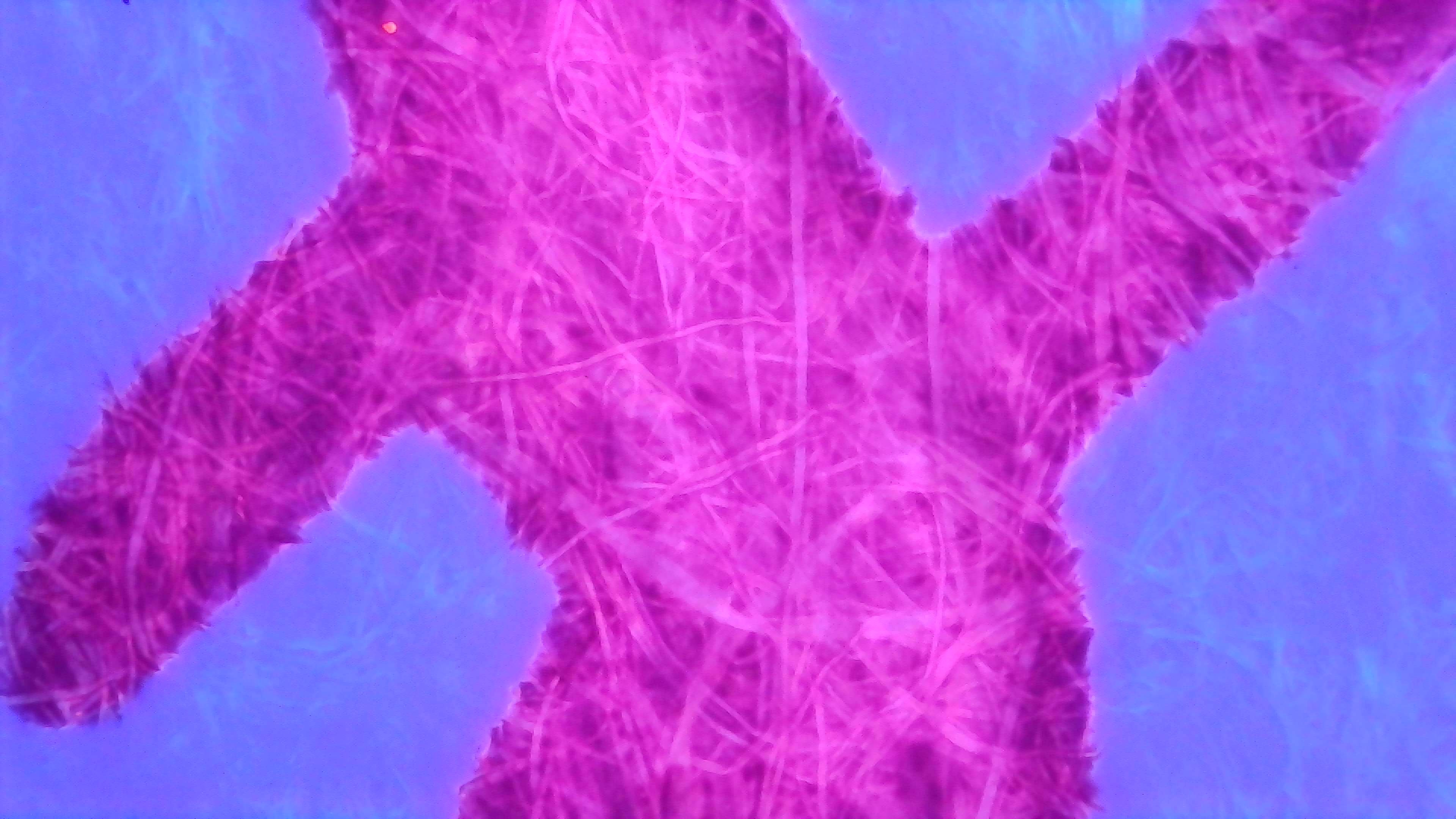 Same as Photo 1 but under UV light. The paper in the background is glowing dark blue, almost purple. The ink itself is glowing more reddish, some visible paper fibers are glowing lighter pinkish, with wider darker areas between. There is a faint pink outline along the edges.