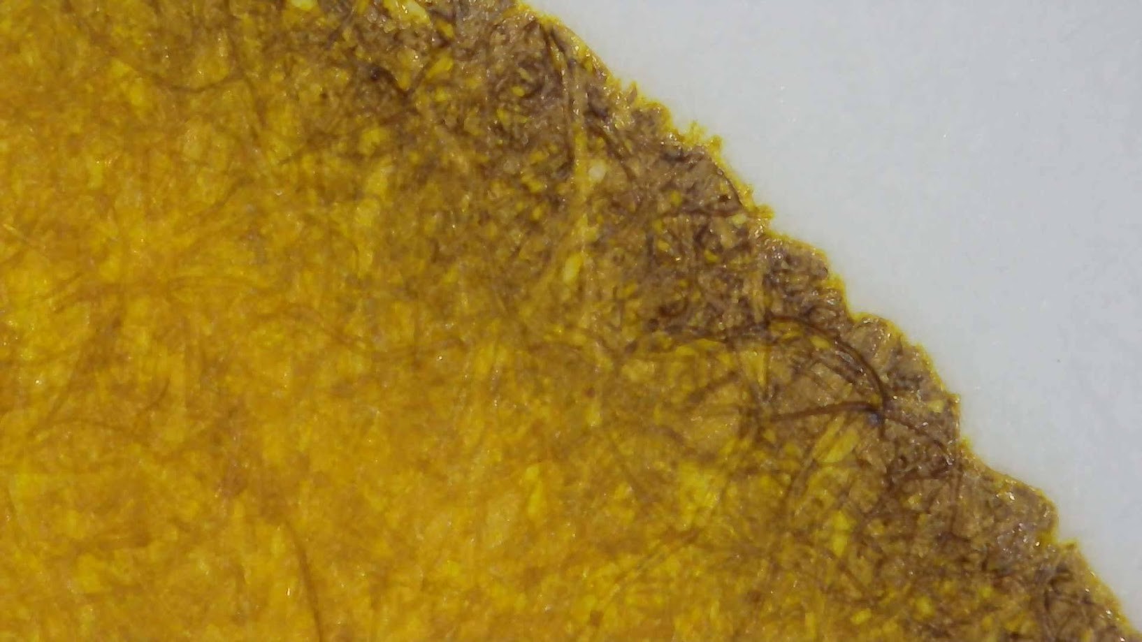 Photo of ink blob on paper. Paper fibers are visible. The edge of the blob is very brown with a little green mixed in. Away from the edge it is more yellow, but still dark.