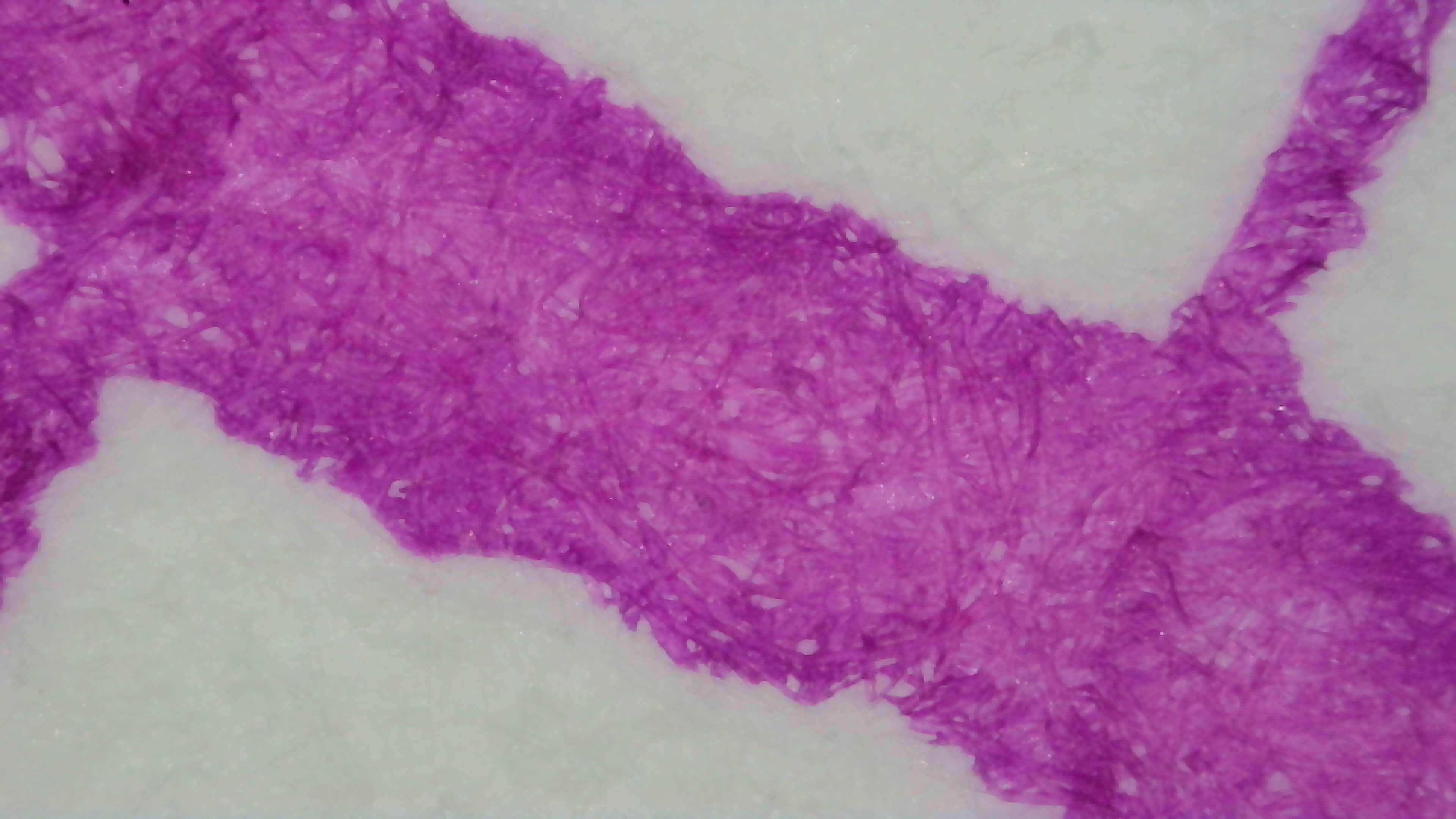 Photo of ink lines on paper under magnification. The ink looks dark magenta. Some visible paper fibers are darker, but not so much they stand out. Color is fairly even, no visible shading or pooling. Line edges are rough and uneven.