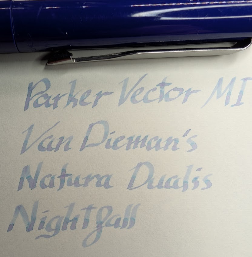 Photo of writing on paper and a partially visible fountain pen cap across the top. The pen cap is medium blue with a silver clip. The writing reads "Parker Vector MI / Van Dieman's Natura Dualis Nightfall". The words are written with a medium width stub nib which gives the letters significant line variation. The ink is a pale slate blue with some shading that changes to almost pink in the center.