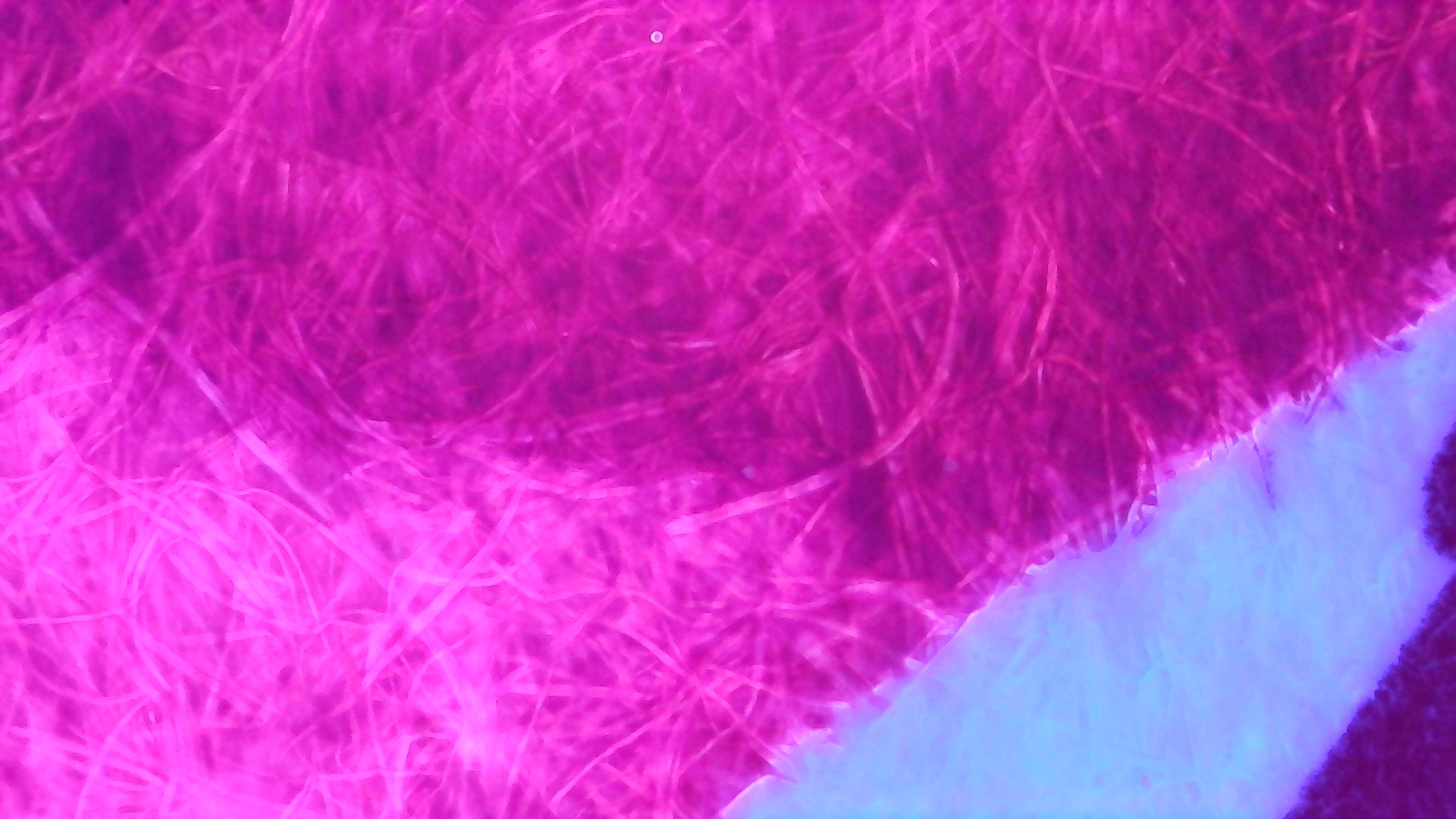 Same as Photo 3 but under UV light. The paper in the background is glowing dark blue, almost purple. The ink in the light area is glowing more pink, and in the dark area it is glowing more reddish, some visible paper fibers in the darker are glowing lighter pinkish, with wider darker areas between. There is a faint pink outline along the edges.