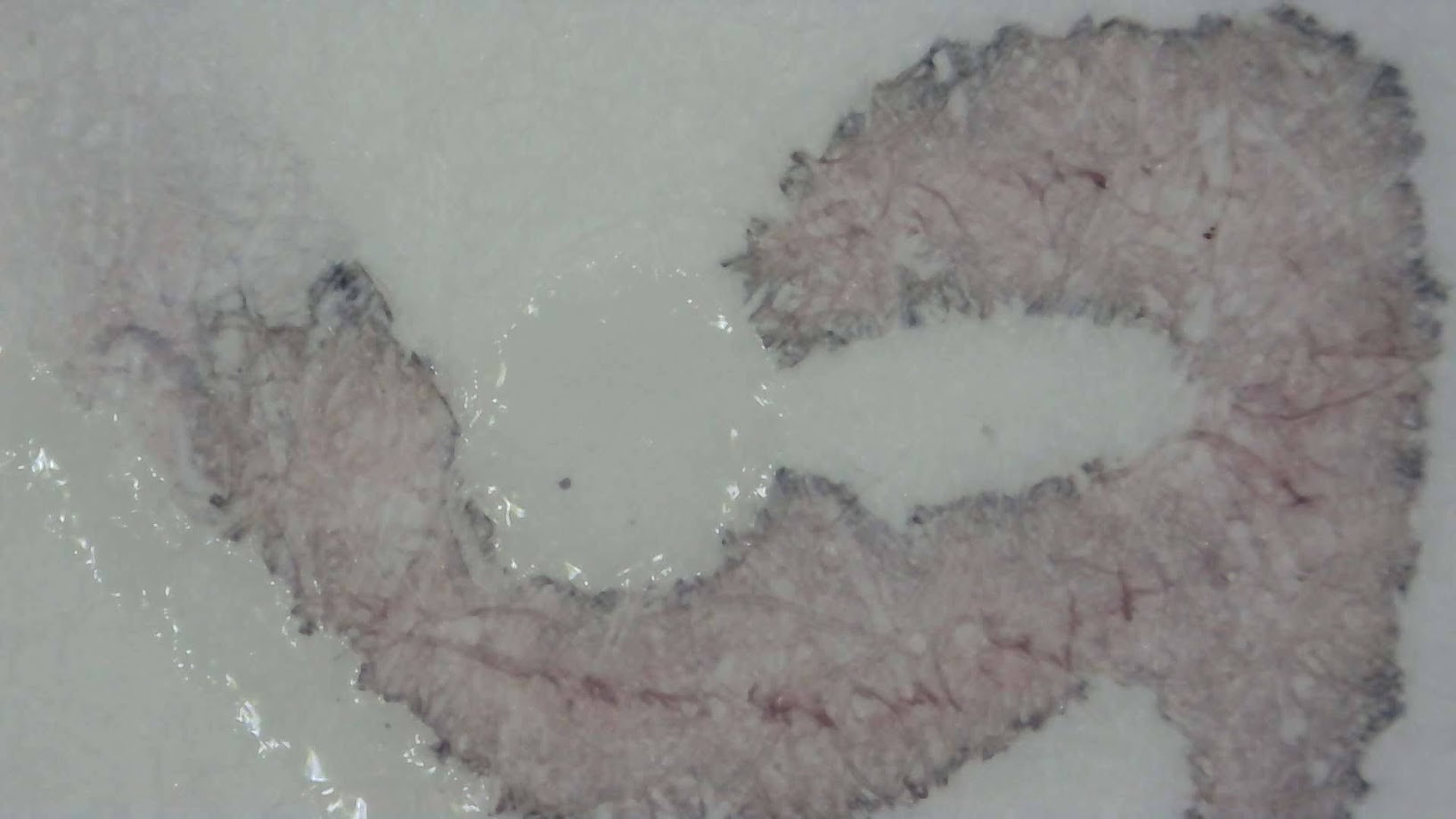 Photo of ink writing on paper under magnification. Paper fibers are visible. The ink is gray with some areas very light, and others darker. Around the edges of the dark areas it appears more brown. In the center of the darker area is appears more pinkish.