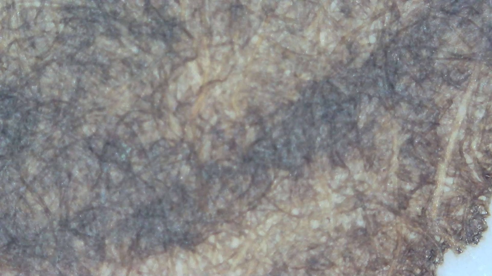 Photo of an ink blob under a microscope. Paper fibers are visible. The ink is medium brown and there are bands of darker ink through the middle and around the edges.