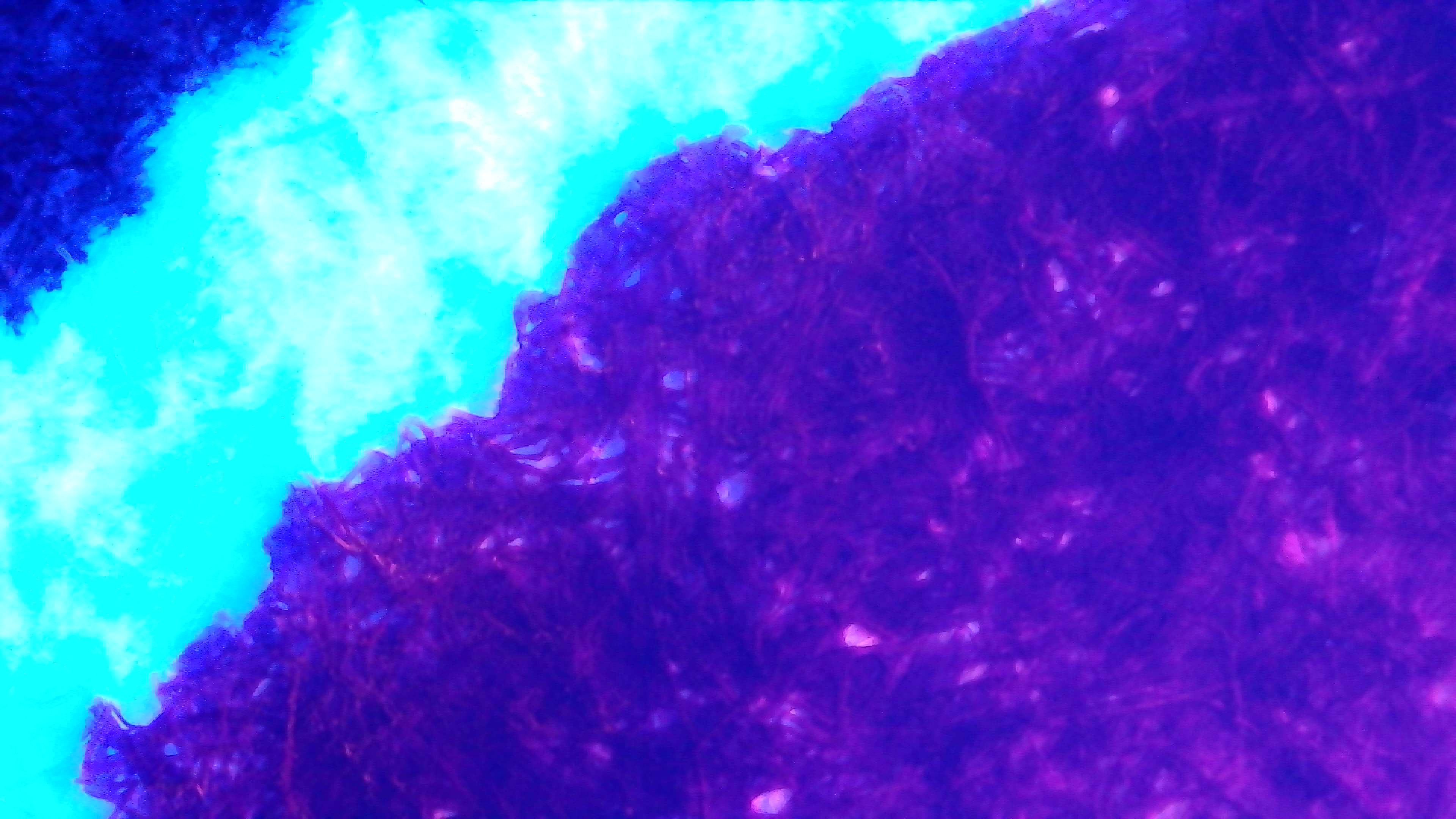 Same as photo 1 but under UV light. The paper is glowing extremely brightly blue and overpowering everything. The ink appears purple with some tiny spots of pink.