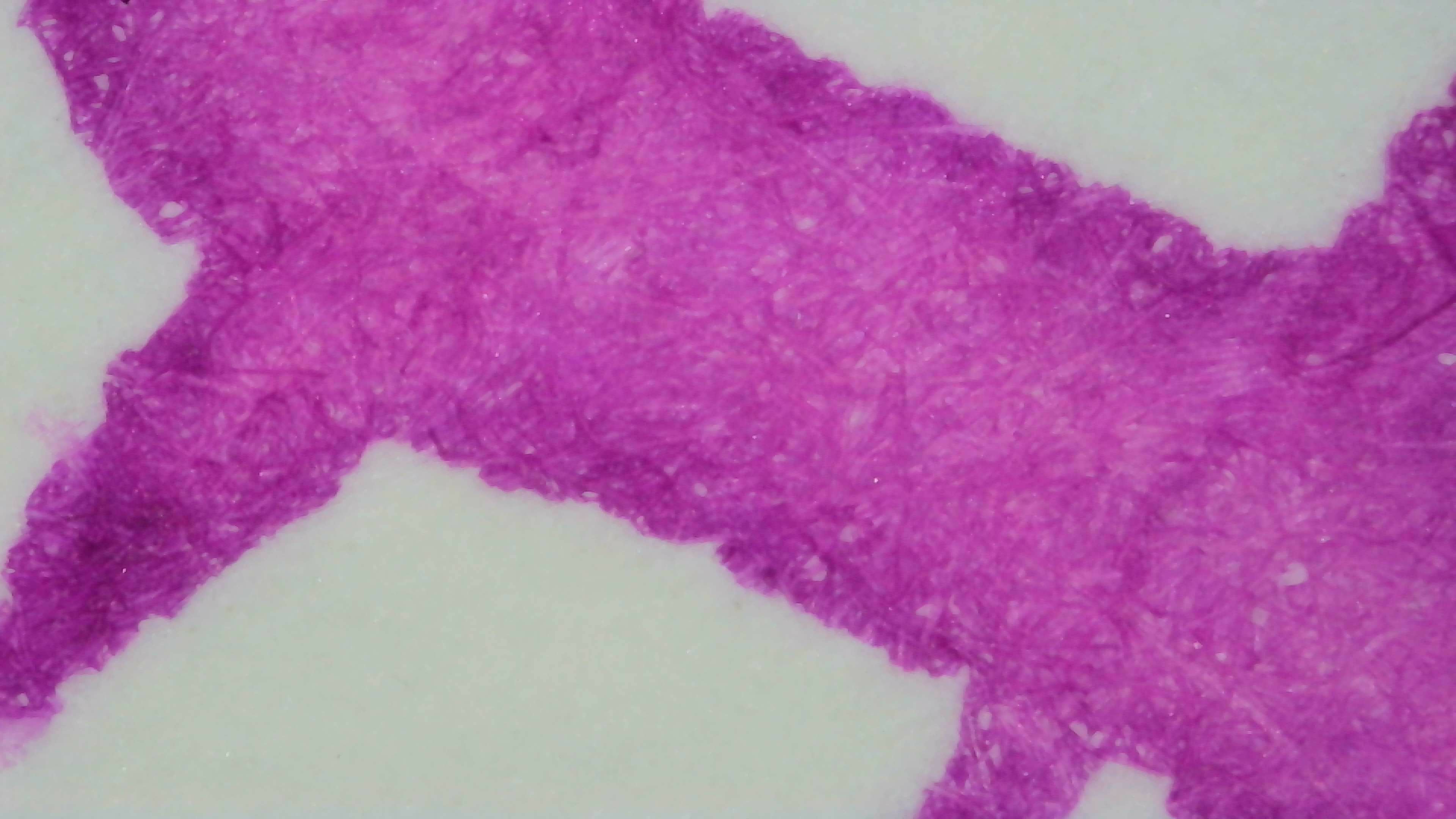 Photo of ink lines on paper under magnification. The ink looks magenta. Some visible paper fibers are darker, but not so much they stand out. There is shading at the edges and in part of one line. Line edges are somewhat rough and uneven.