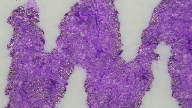 Photo of ink writing on col-o-ring paper under magnification. The ink is purple, with one small area that is lighter and a couple places inside that are darker on paper fibers. The edges of the line are very rough. There are visible flakes of gold sheen around the edges, but it is spotty and not consistent.