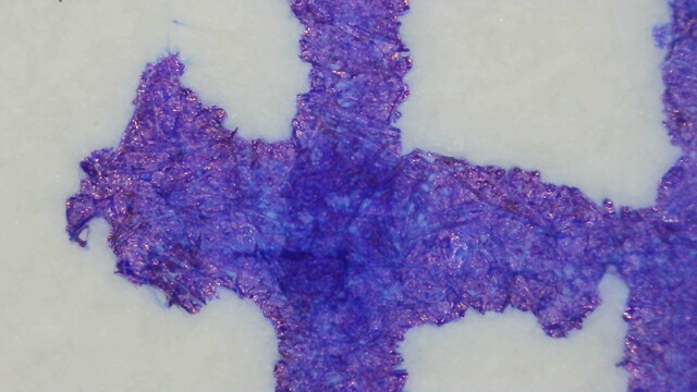 Photo of writing under magnification. The ink appears purple in the center with red/purple and some shininess toward the rough edges.