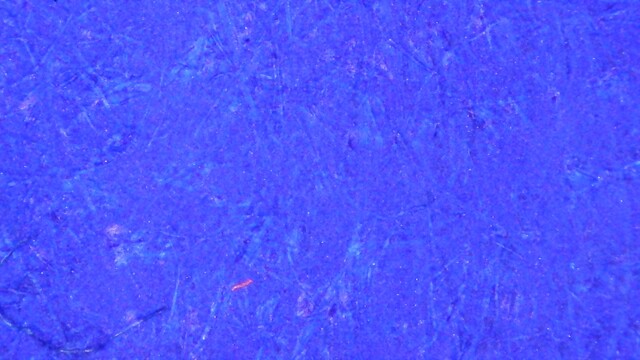 Photo of an ink swatch under magnification. Paper fibers are visible. The entire field of view is blue with a few small flecks of red.