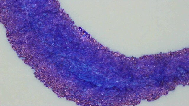 Photo of writing under magnification. The center is blurple and the edges are red, only slightly reflective.