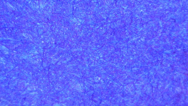 Photo of ink swatch under magnification, the whole field appears evenly blurple. Between the fibers in some areas is lighter, some fibers are darker.