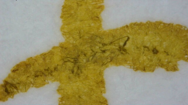 Photo of ink lines on col-o-ring paper under magnification. The ink is dark yellow-gray, and near the center of a horizontal line there are paper fibers which appear very dark yellow. The edges of the lines are very rough.