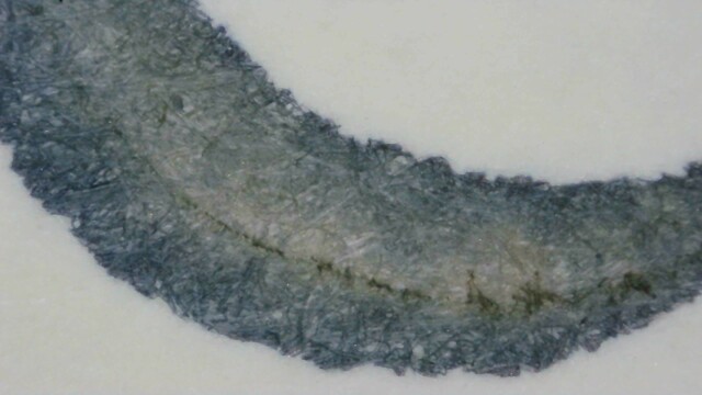 Photo of ink writing on Midori paper under magnification. The ink is blue-gray, darker and more blue at the edges, and yellow-ish in a narrow band near the center. There is a dark line almost black down the center as well. The edges of the line are somewhat rough.