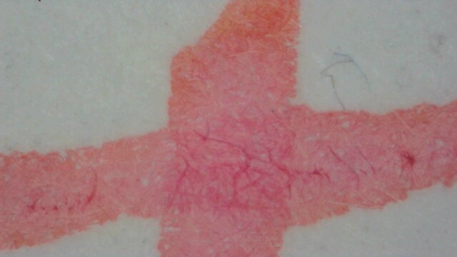 Photo of ink lines on MD paper under magnification and visible light. The ink is coral overall, but has a larger area that looks more pink near the center, and some paper fibers are darker pink/magenta. It is more orange near the edges, which are somewhat smooth.
