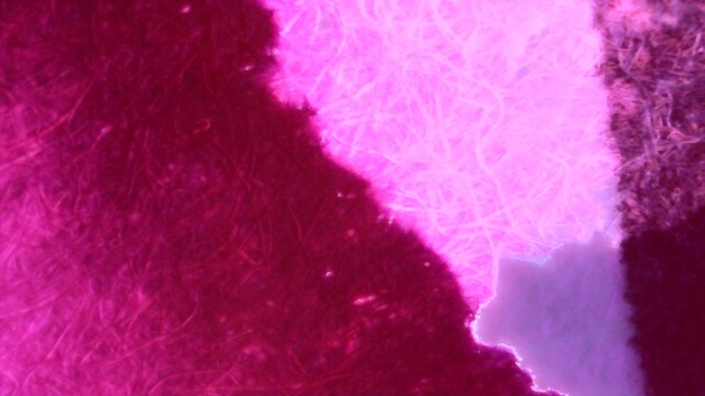 The paper is not glowing but does appear to have a faint dark purple color. The lighter area is glowing very brightly pink. The darker area is glowing magenta. There is a faint pink outline outside the edges of the line.
