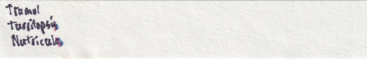 Scan of chromatography paper.